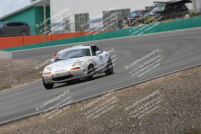 media/May-03-2025-Lucky Dog Racing (Sat) [[206de64b9d]]/Turn 4 B (1150am-130pm)/